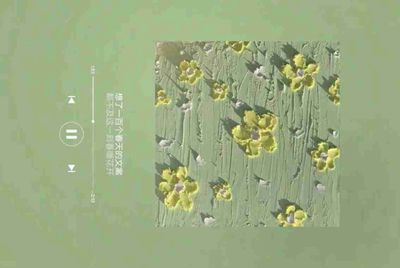米粉卡日租卡是电信的吗