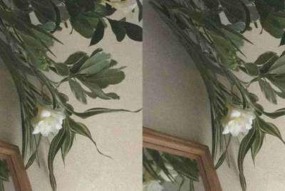 狼人杀怎么刷人气