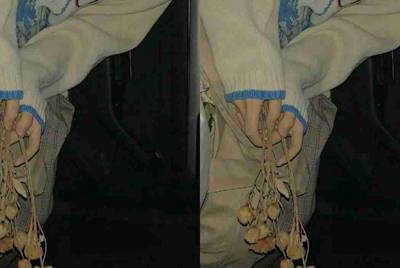 我家的电脑玩cf租号为什么上号器上不上去