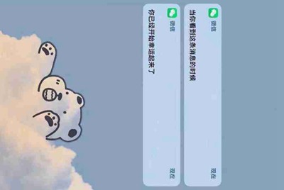 租号玩手机验证码如何发给租方？