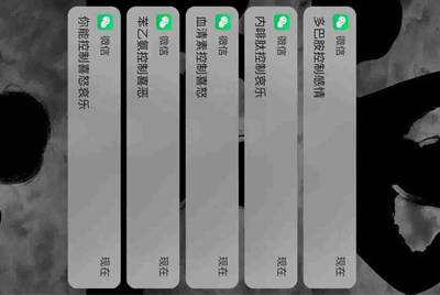 租号玩上号流程是什么样？怎么操作？