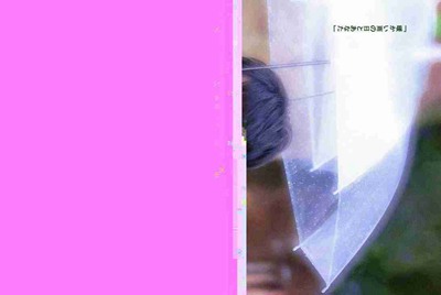 在租号玩APP上把号租出去了，如果别人开挂号被封我作为号主会得到赔偿吗