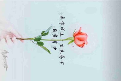租号玩英雄联盟怎么租号啊，上号流程是什么?
