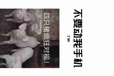 租号租了一个游戏账号怎么登陆？