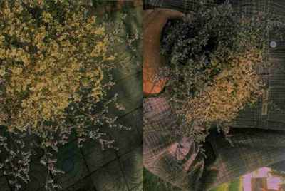在租号玩租了一个绝地求生的号登陆上去后发现steam上的游戏都是我自己以前买的，没有吃鸡啊