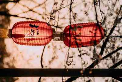 租号玩为什么进不去