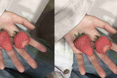 租号玩上号器安全不