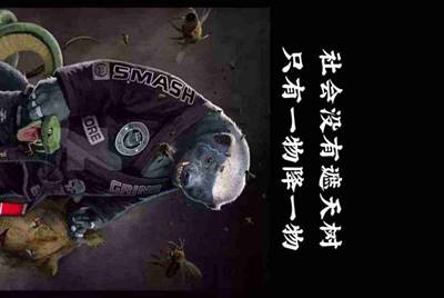 租号玩怎么解封我重新换手机号注册还是被封了租不了号