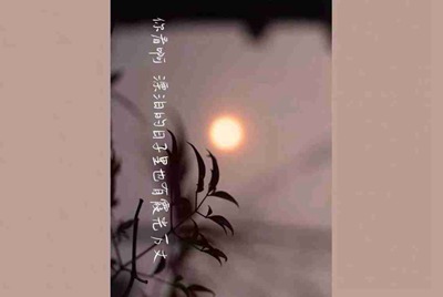 租号玩怎么找回支付密码，我忘记了