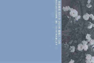 租号玩忘记用户名怎么办?