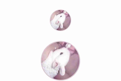 王者荣耀租号的上号器是什么？