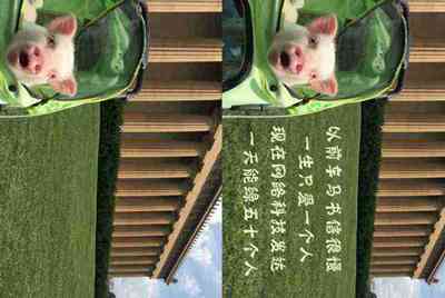 租号玩上号流程是什么样？怎么操作？