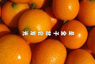 租号玩上号器安全不