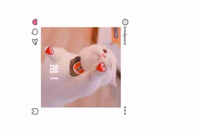 生死狙击神器号帐号密码