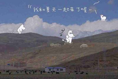 交易猫租号退订有时间限制吗?