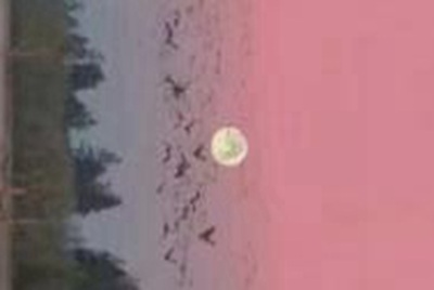 电脑租号玩下载了安装不了