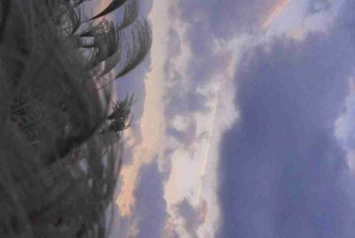 生死狙击手游神器号免费给最新的