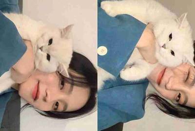 DNF被制裁后，会怎么样。。。