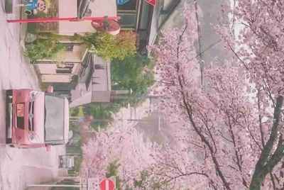租号玩跟别人合租，现在怎么改密码