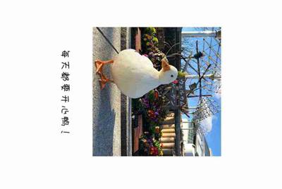 伙伴们，租战舰世界账号玩靠谱么