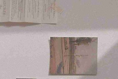 系统检测到您感染了恶意软件，这会导致您上网时网页不能正常显示，上网速度变慢...