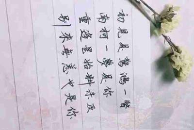 租号玩怎么找回支付密码，我忘记了