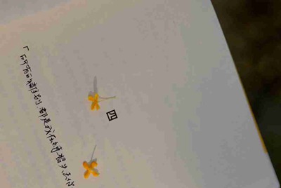 电脑更新后用租号器上输入账号时就电脑自动重启是这么回事