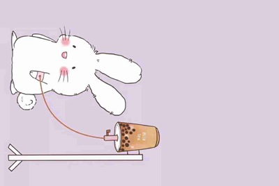 租号玩忘记用户名咋办