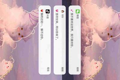 vivo帐号密码初始密码