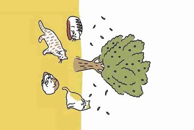香港哪里有短期租的房子啊？