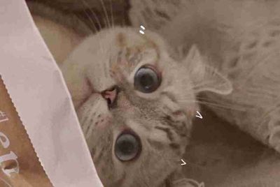 手机上有什么比较好用的组号软件？ 不用5173或者交易猫。