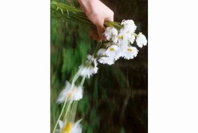 什么手游软件，可以租号