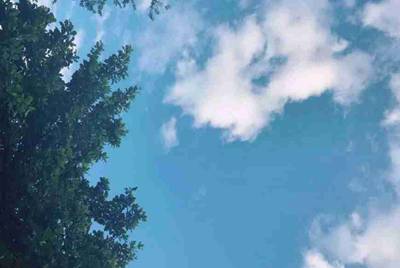 崩坏3有大佬共享一下账号吗，想玩玩高等级的号。