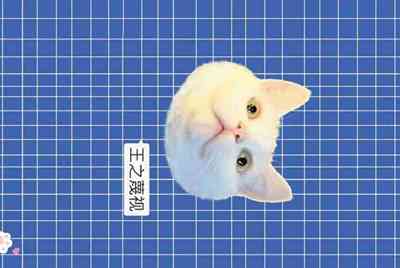 租号玩英雄联盟怎么租号啊，上号流程是什么啊，最好有图解 ，谢谢各位大神！！！