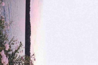DNF租号给别人，被封1095天（三年）还能解封吗
