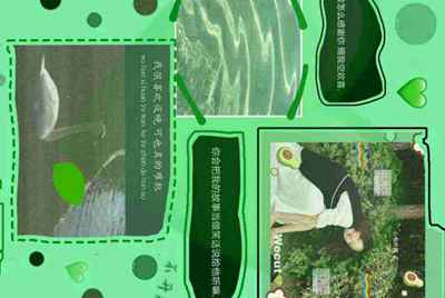 我家的电脑玩cf租号为什么上号器上不上去
