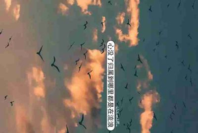 电脑租号玩下载了安装不了