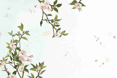 想玩H1z1这个游戏，用什么加速器比较啊？