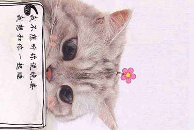 租号玩，手游租号怎么上号