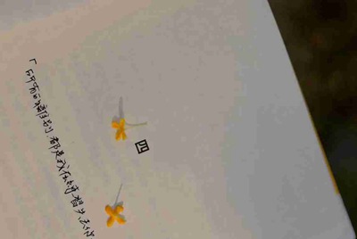 租号玩怎么修改用记名的登录密码？？