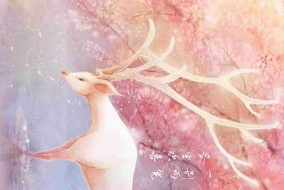 如何注册租号号平台账号