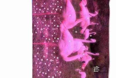 QQ飞车首发永久S车爆天甲怎么得