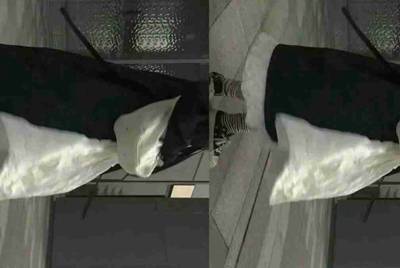 租号玩租用了一个游戏账号，怎么找它的订单号啊？