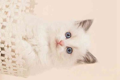 我想知道，交易猫租号没有时间限制的吗？假如我买了一个小时的号，我知道了密码我是不是可以一直玩下去？