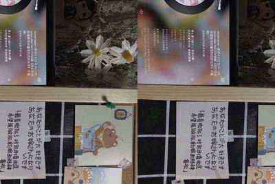 生死狙击土豪号帐号和密码。