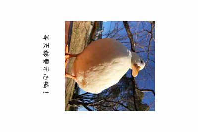 微信出租然后我再也等不回去了，支付密码什么的全都给他了，我该怎么办