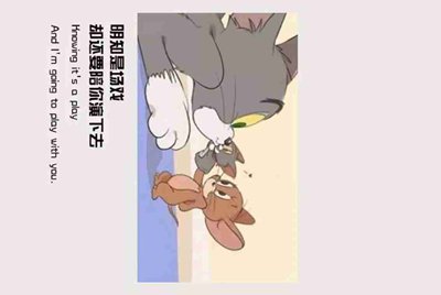 我在交易猫租号没收到租金