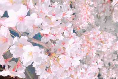 怎么没有租号挂5173的