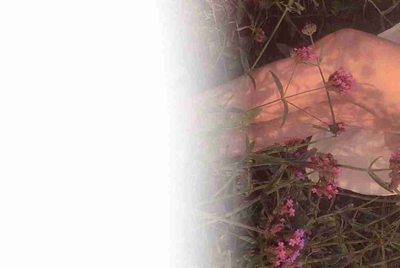 租号玩绝地求生提示登录出现异请重启客户端