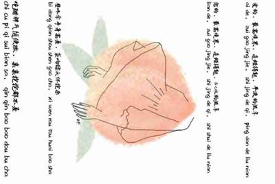 租号玩英雄联盟怎么租号啊，上号流程是什么啊，最好有图解 ，谢谢各位大神！！！